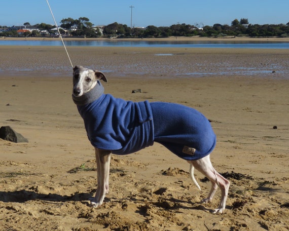 gidget whippet coats