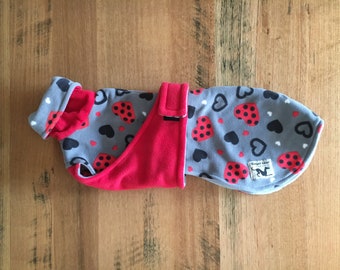 55cm T Gurt, Druck und einfarbiger Whippet Mantel