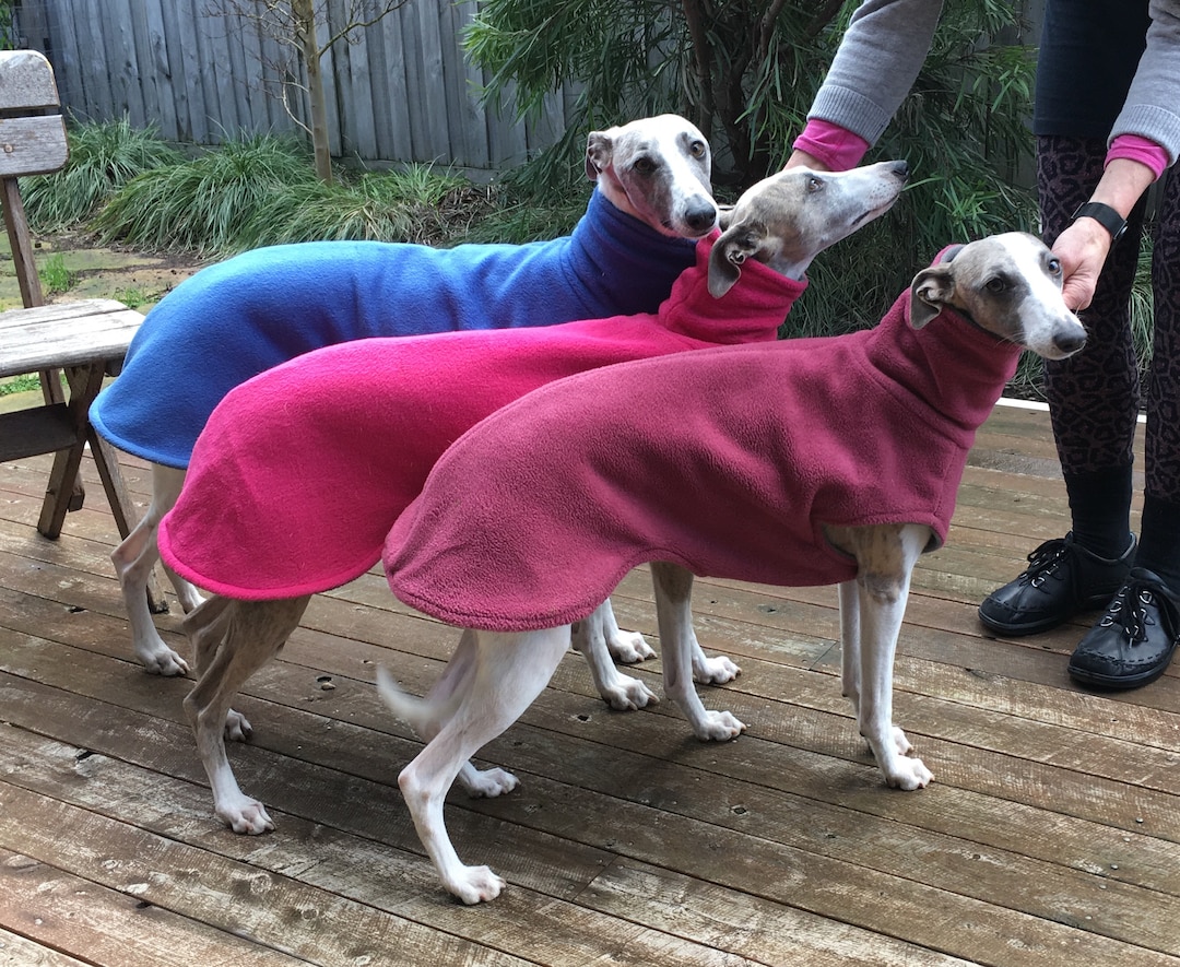 Buy Whippet, 50cm Double Layer Slip Over the Head Coat Online in India 