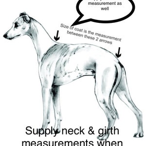 Whippet waterproof, Soft shell Single layer T-strap  coat