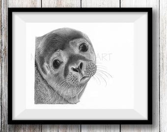 Seal Art Print -  Hand Drawn Animal Pencil Drawing A4 / A5 Sizes Giclee (UK Artist)  - Nature Wildlife - Wall Marine Art Nursery Picture