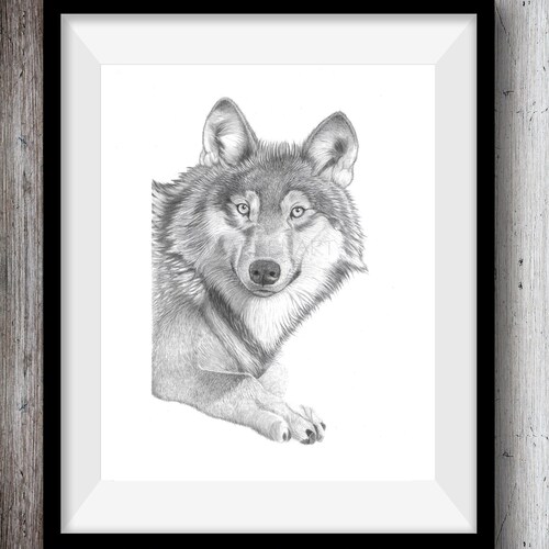 Bear Art Print Hand Drawn Animal Pencil Drawing A4 A5 Sizes - Etsy