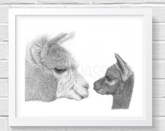 Alpaca Art Print Hand Drawn Animal Pencil Drawing A4 / A5 Nature Wildlife Nursery Wall Picture Alpacas Llama Fathers Day Gift For Her Him