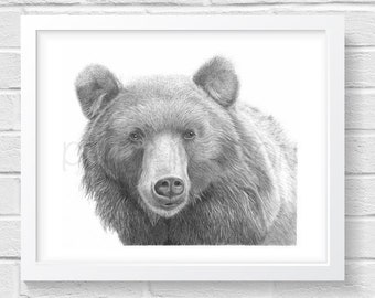 Bear Art Print -  Hand Drawn Animal Pencil Drawing A4 A5 Sizes Giclee (UK Artist)  - Nature Wildlife - Wall Art Nursery Picture