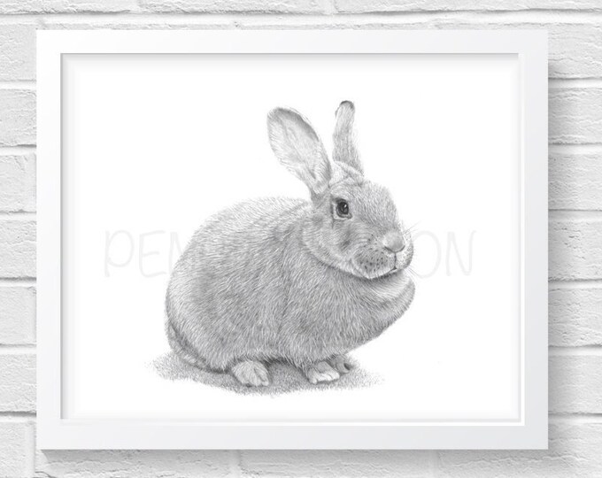 Rabbit Art Print - Hand Drawn Animal Pencil Drawing A4 / A5 Giclee (UK ...