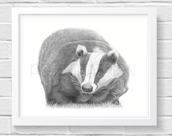 Badger Art Print Hand Drawn Animal Pencil Drawing A4 / A5 Nature Wildlife Illustration Nursery Wall Picture Fathers Day Gift For Her Him