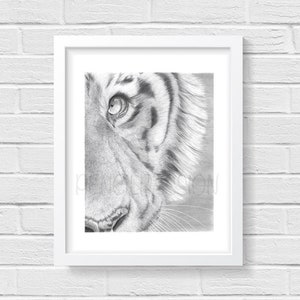 Tiger Art Print -  Hand Drawn Animal Pencil Drawing A4 / A5 Sizes Giclee (UK Artist)  - Nature Wildlife - Wall Art Nursery Picture