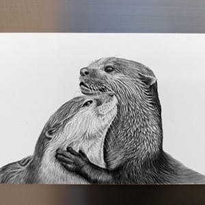 Imán de nevera de nutria - Diseño artístico a lápiz, regalo original, naturaleza, vida silvestre, obsequio para bodas para ella, él, Día del Padre