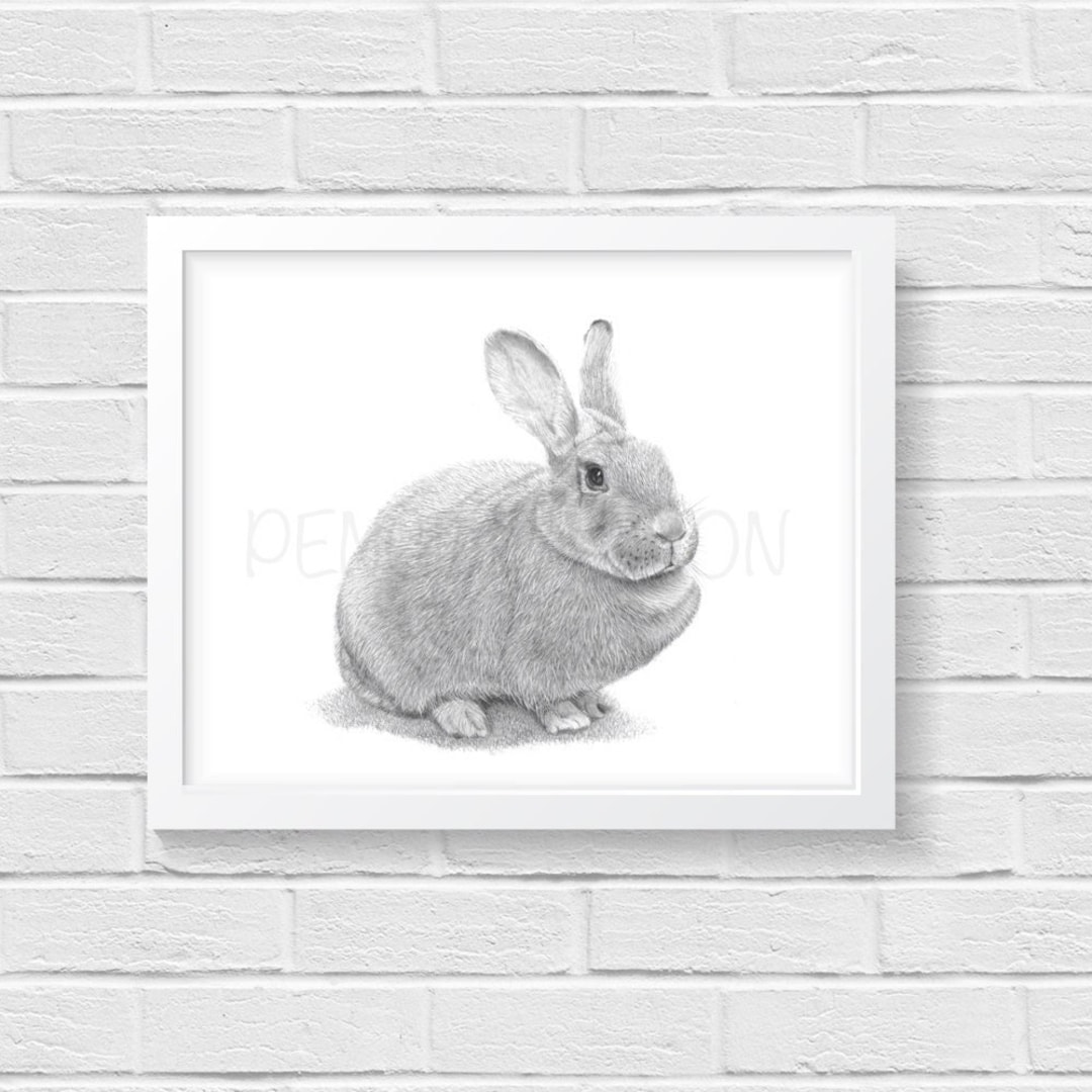 A5 Rabbit Rabbit Art Print - Hand Drawn Animal Pencil Drawing A4 / A5 Giclee (UK ...