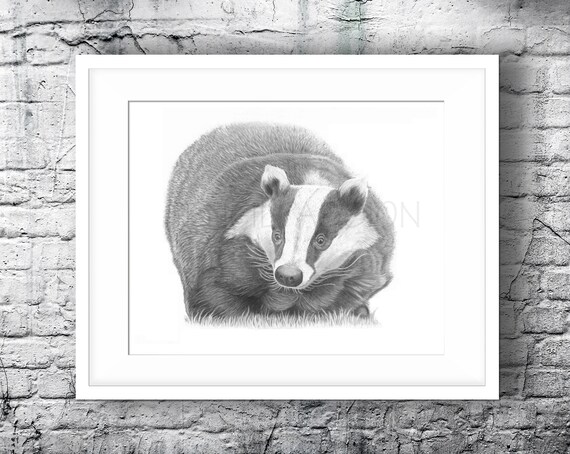 Wildlife /& Nature Gifts Wall Art Hand Drawn Animal Print Badger no2