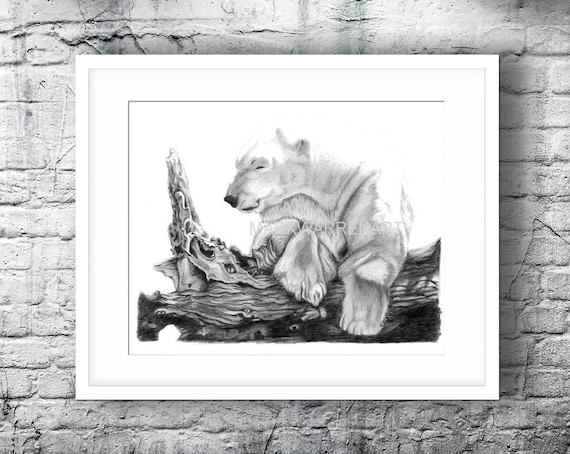 Original Wildlife Art Print - A5 Original Wildlife Art Print - A5