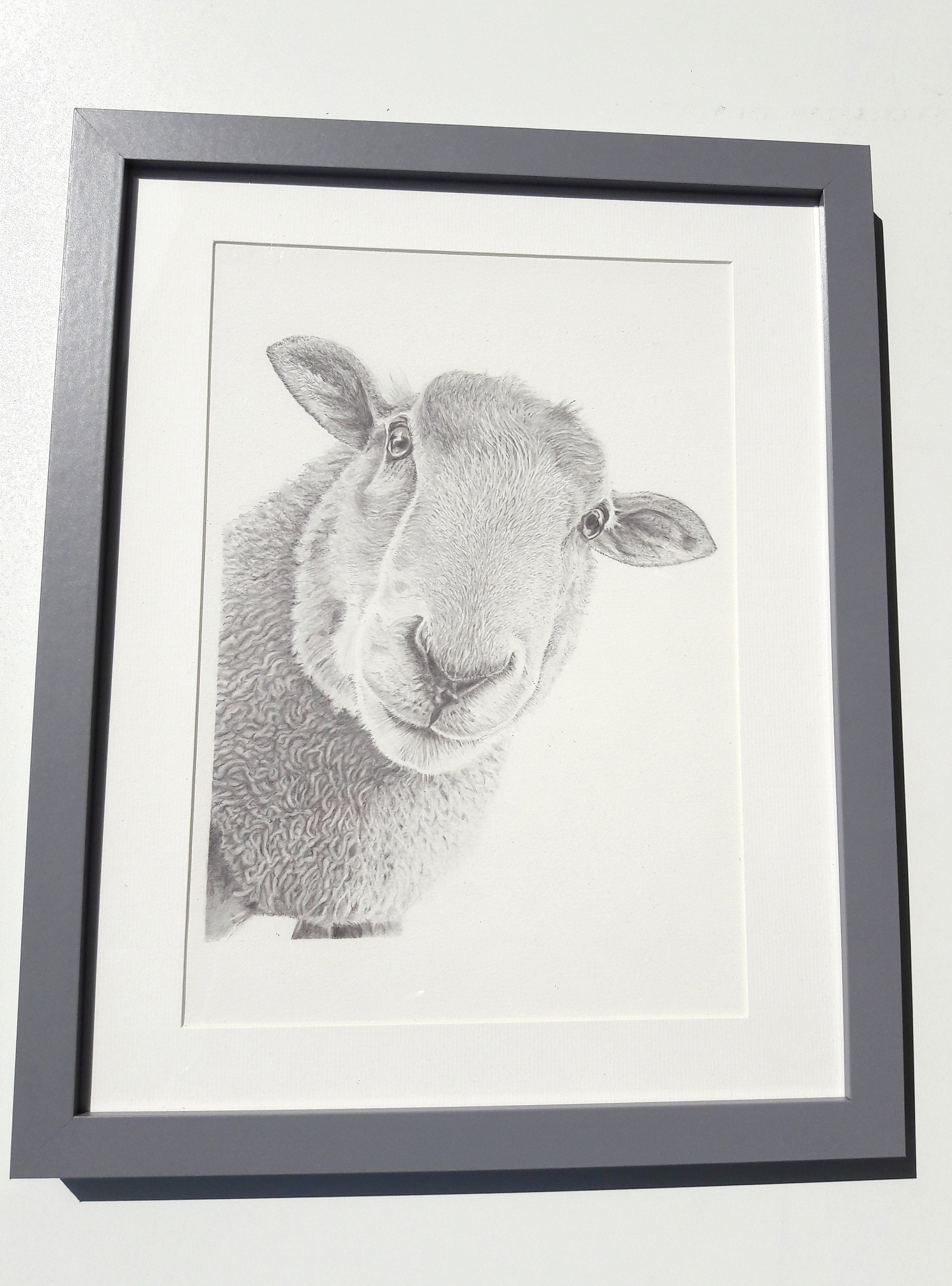 Sheep Art Print - Hand Drawn Animal Pencil Drawing A4 / A5