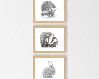 Set of Three British Woodland Animals - A4 / A5 Wall Art Prints - Triptych Nursery Pictures - Pencil Drawing  Badger Hedgehog Rabbit Nature
