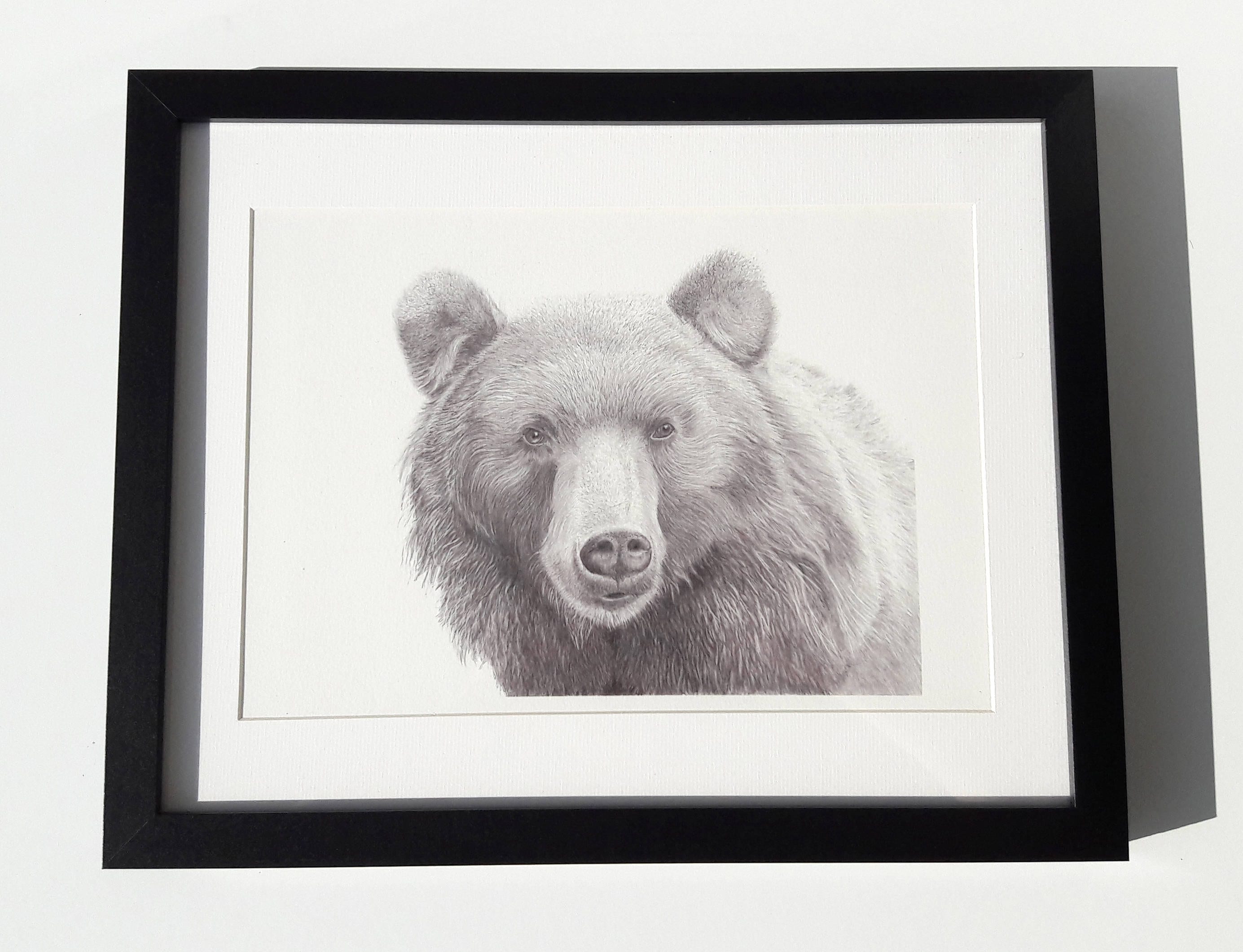 Bear Art Print Hand Drawn Animal Pencil Drawing A4 A5 Sizes - Etsy