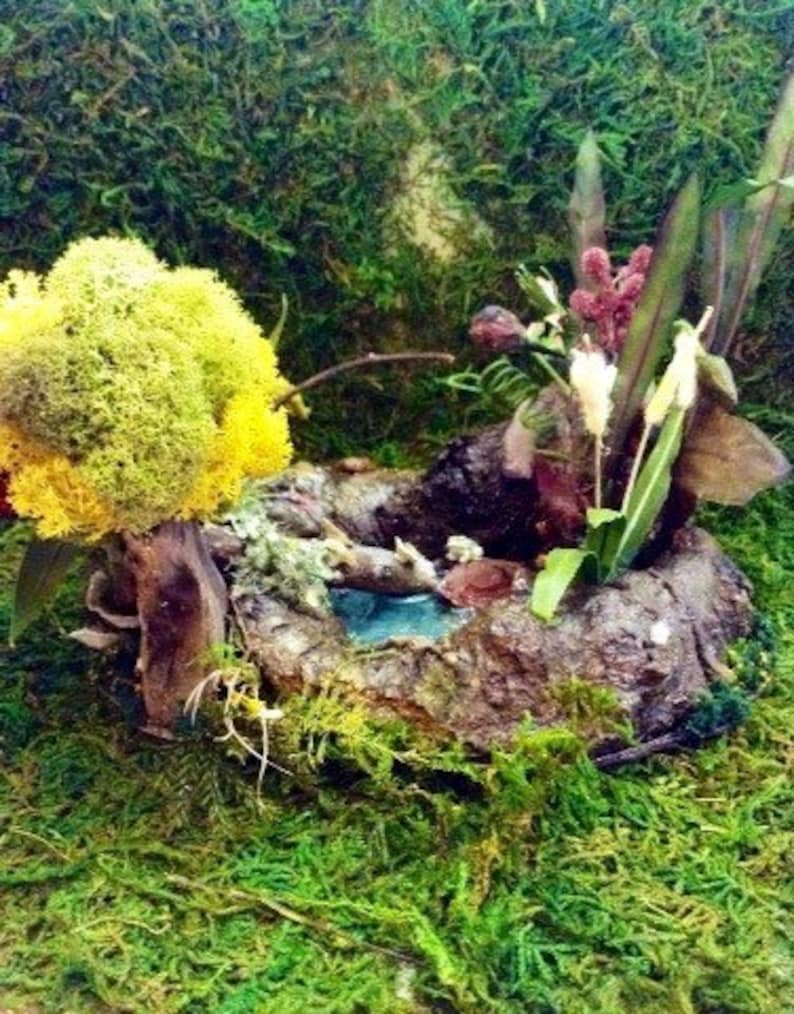 Unique OOAK Handmade Miniature Fairy Garden Frog Pond With Tree Fairy Garden Ideas Bonsai Garden Decorations Terrarium Decorations Gift Idea