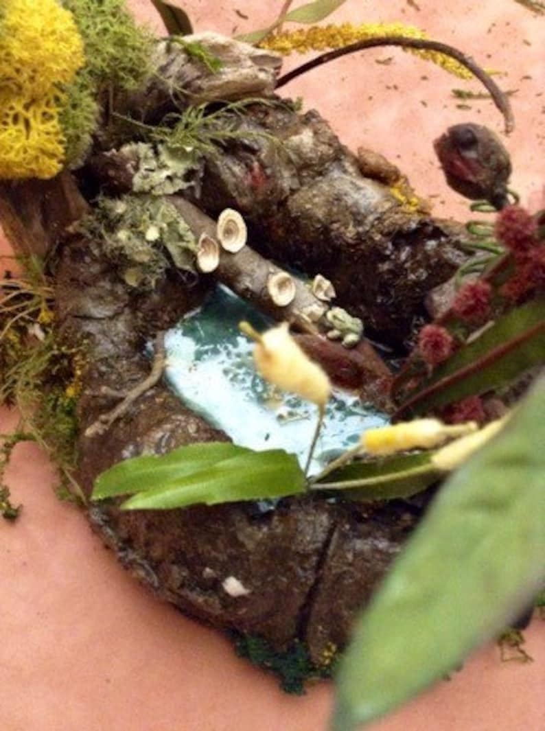 Unique OOAK Handmade Miniature Fairy Garden Frog Pond With Tree Fairy Garden Ideas Bonsai Garden Decorations Terrarium Decorations Gift Idea