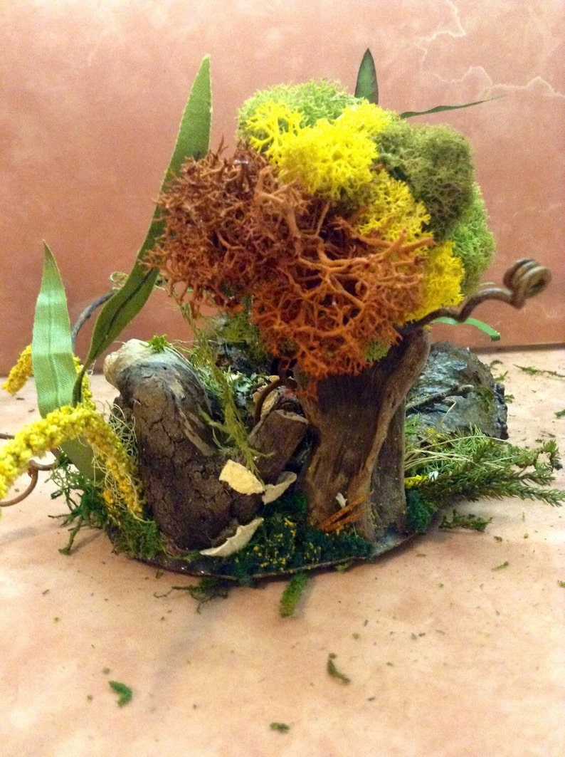 Unique OOAK Handmade Miniature Fairy Garden Frog Pond With Tree Fairy Garden Ideas Bonsai Garden Decorations Terrarium Decorations Gift Idea