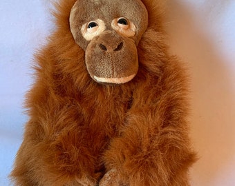 iceland orangutan teddy