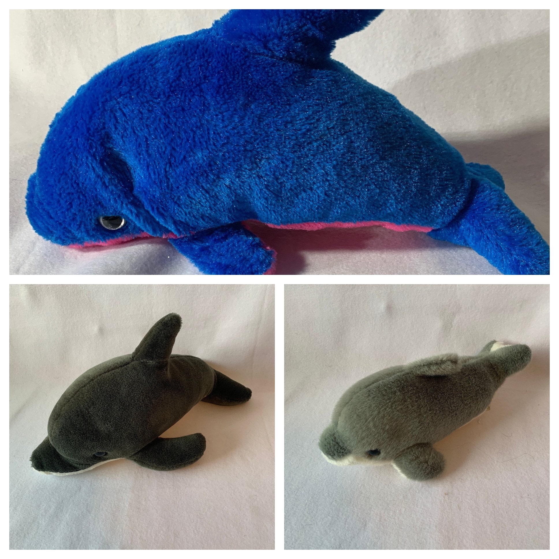 dolphin teddy