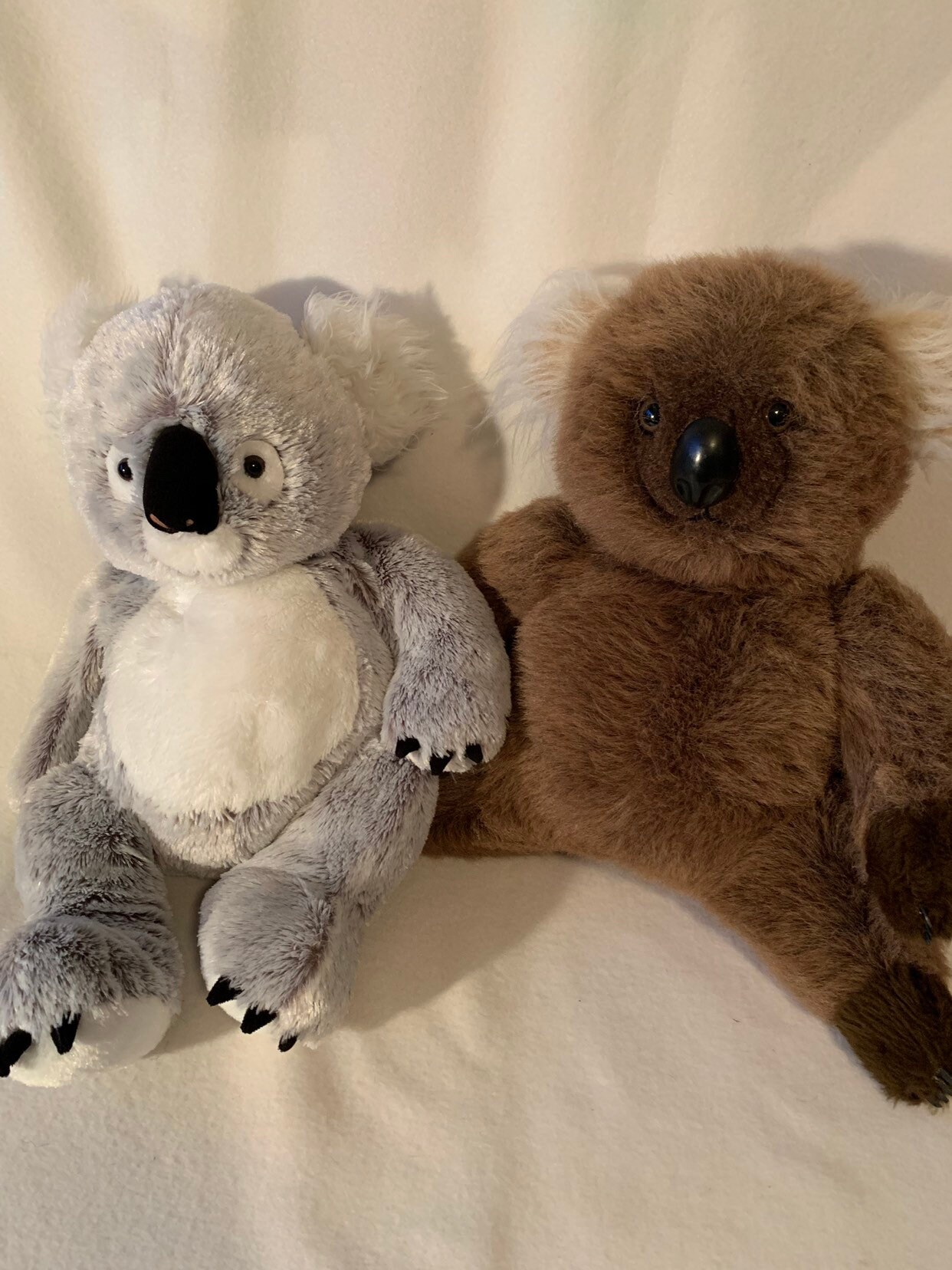 large koala bear stuffed animal