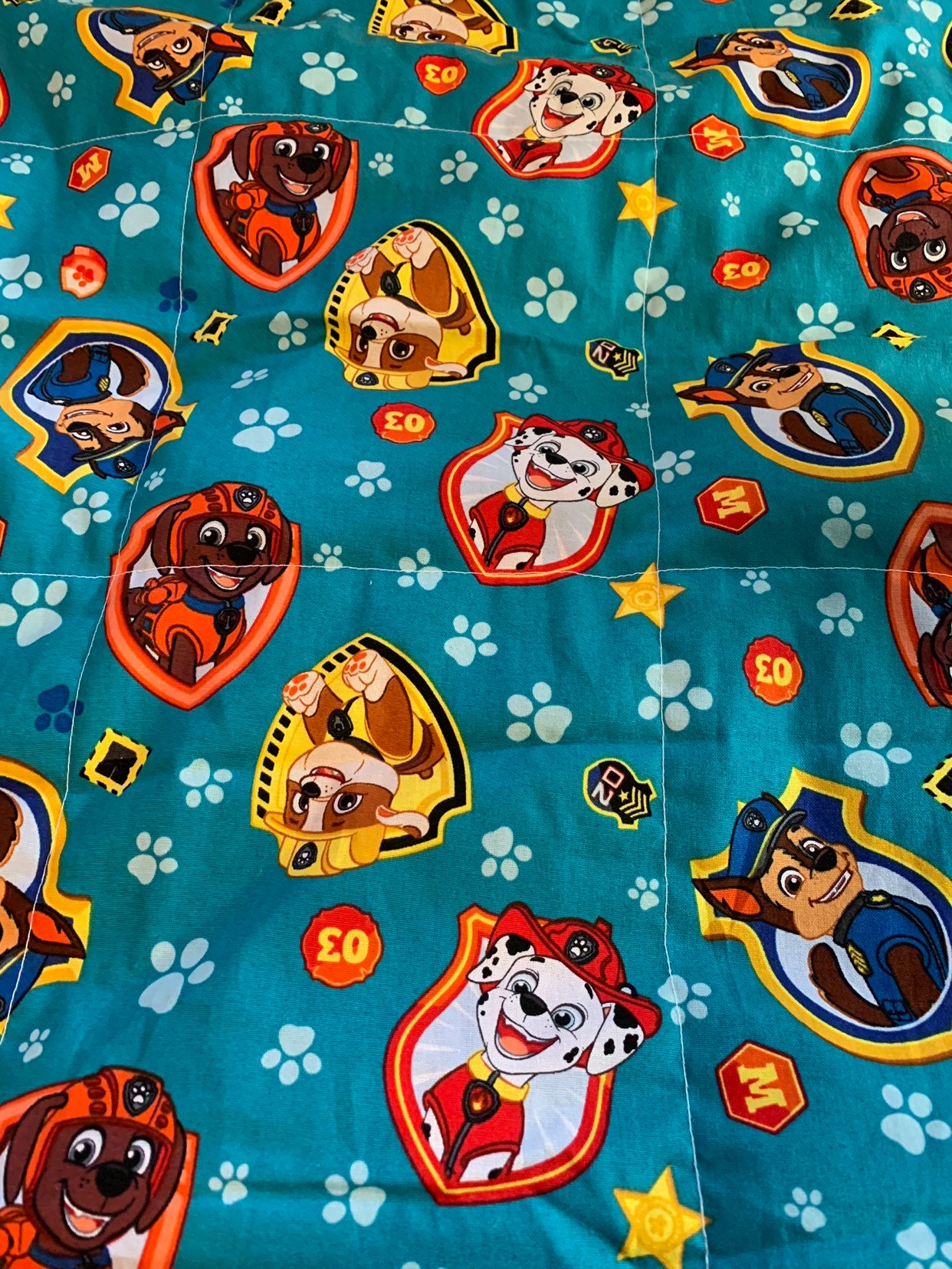 Paw Patrol weighted blanket, 6 lbs, ready to ship, lap blanket for
