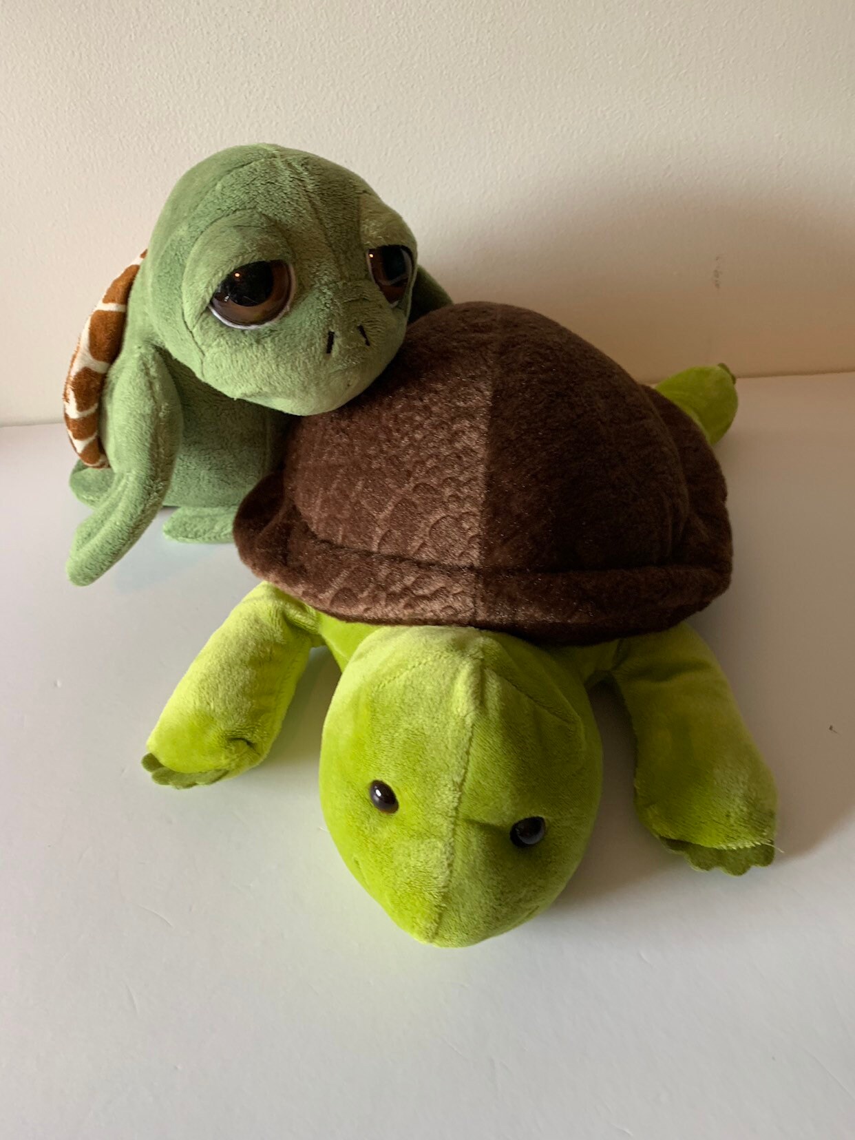 sensory turtle toy