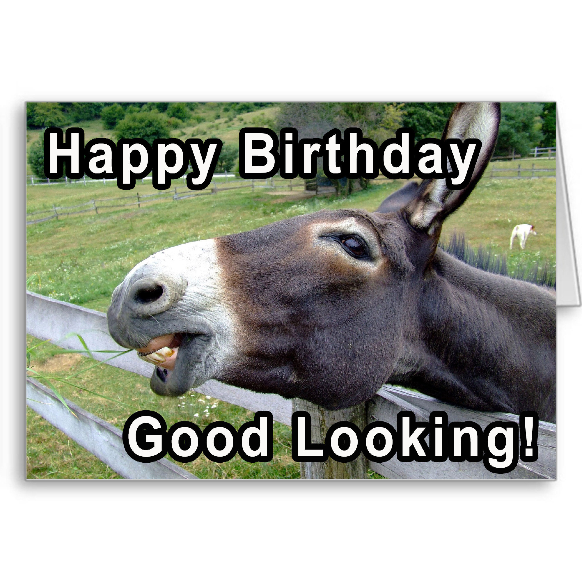 Happy Birthday Good Looking Funny Birthday Card Birthday - Etsy New Zealand