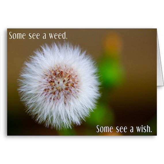 Some see a weed, some seed a wish, Uplifting Card, Quote Card, Survivor Card, Encouragement Card, Send Positive Thoughts