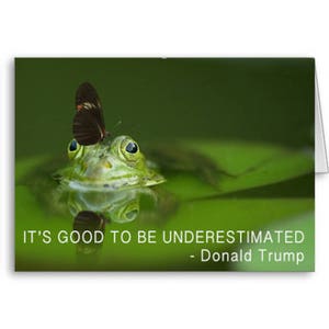 Lustige Trump-Karte, Donald Trump, politische Karte, Zitat Karte, Geburtstagskarte, es ist gut, unterschätzt werden, Trump Zitat, senden positive Gedanken