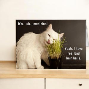 Divertente biglietto di pronta guarigione / Divertente biglietto di compleanno / Divertente biglietto di gatto / Biglietto di marijuana / È... uh... medicinale. Ho delle palle di pelo davvero brutte
