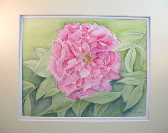 Pink peony flower original watercolor painting matted signed