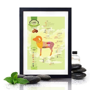 May include: A colorful infographic poster with a cartoon lamb illustrating different cuts of lamb meat. The poster includes the names of each cut, cooking methods, and a description of each cut. The poster is framed in a black frame.