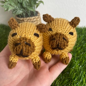 May include: Two small knitted plush toys shaped like pugs. The pugs are brown and yellow with black eyes and noses. The pugs are sitting on a hand.