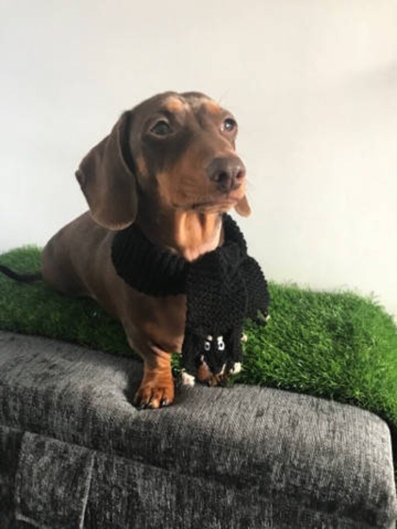 Knitting Pattern Dachshund Dog scarf Sausage dog collar Etsy