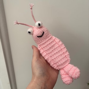 May include: A handmade pink knitted shrimp toy with white and black eyes, a smiling mouth, and two long antennae. The shrimp's body is detailed with horizontal ribbed sections. The toy is held in a hand.