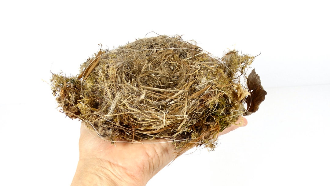 Real Bird Nest, Natural Supply Moss and Grass Birds Nest, Actual Nest