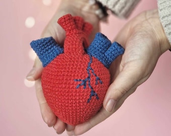 Crochet anatomical heart amigurumi pattern - ENG