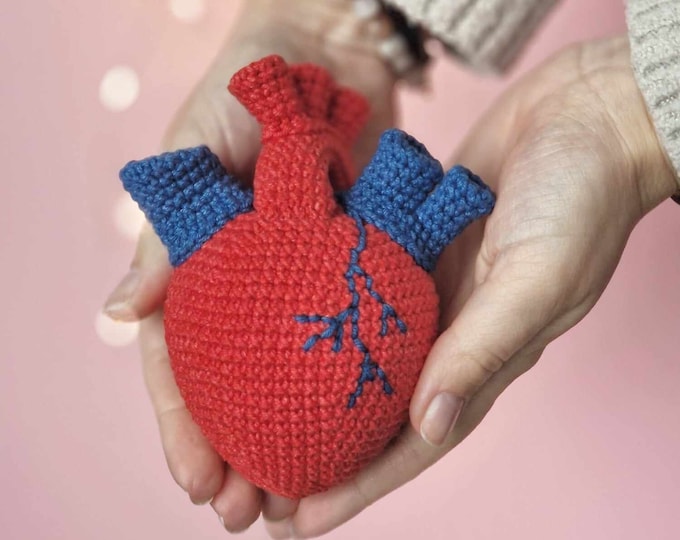 Realistic Anatomical Human Heart Amigurumi | Crochet Pattern | PDF ...