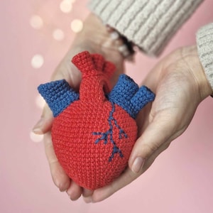 Crochet anatomical heart amigurumi pattern - ENG