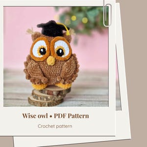 Crochet graduation plush owl amigurumi pattern - Teacher appreciation crochet gift - ENG