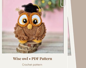 Crochet graduation plush owl amigurumi pattern - Teacher appreciation crochet gift - ENG