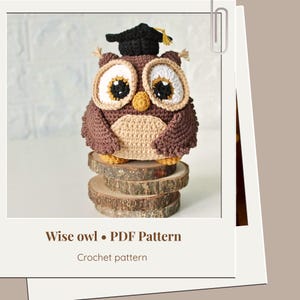Crochet owl toy amigurumi pattern - Teacher appreciation gift - ENG