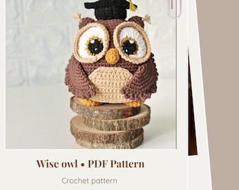 Crochet owl toy amigurumi pattern - Teacher appreciation gift - ENG