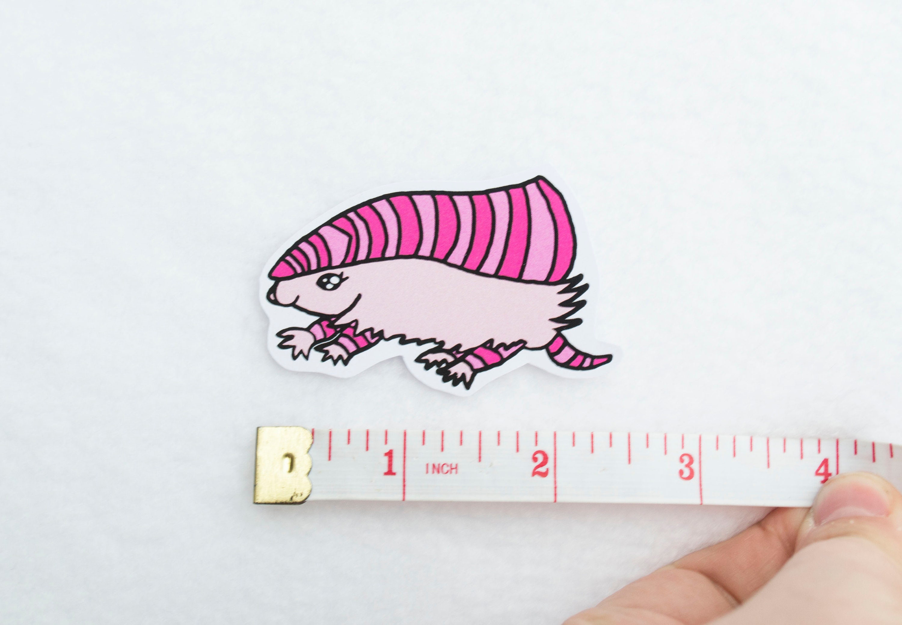 Pink Fairy Armadillos Kawaii Cute Sticker Stationery Adorable Etsy