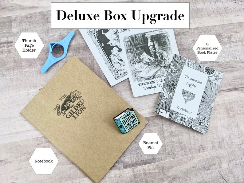Mystery Book Lover Box Mystery Book Box Mystery Box Etsy