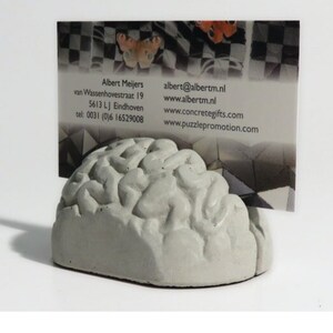 concrete brain card holders, brain, gray matter, postcard, business card, desk accessories photo holder, think concrete office image 3