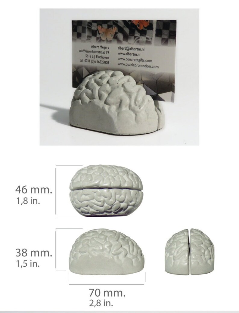 concrete brain card holders, brain, gray matter, postcard, business card, desk accessories photo holder, think concrete office image 3