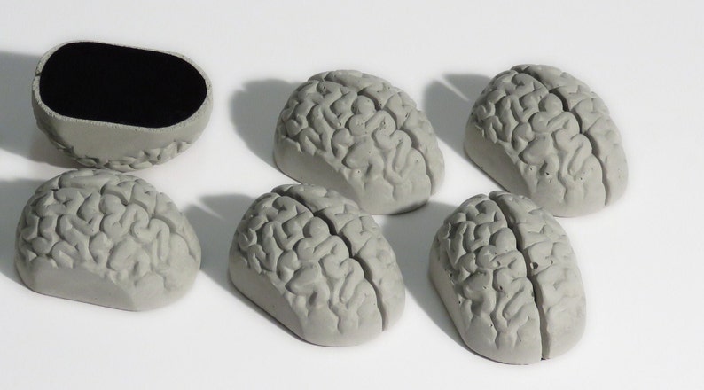 concrete brain card holders, brain, gray matter, postcard, business card, desk accessories photo holder, think concrete office image 2