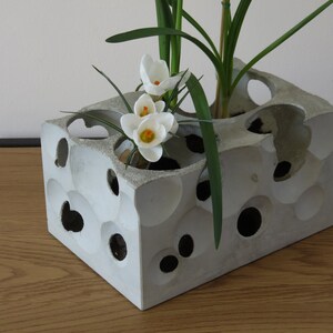 Peut inclure: Un pot en béton blanc avec un design unique, texturé, en forme de nid d'abeille. Le pot est rempli de plantes vertes et de fleurs blanches.