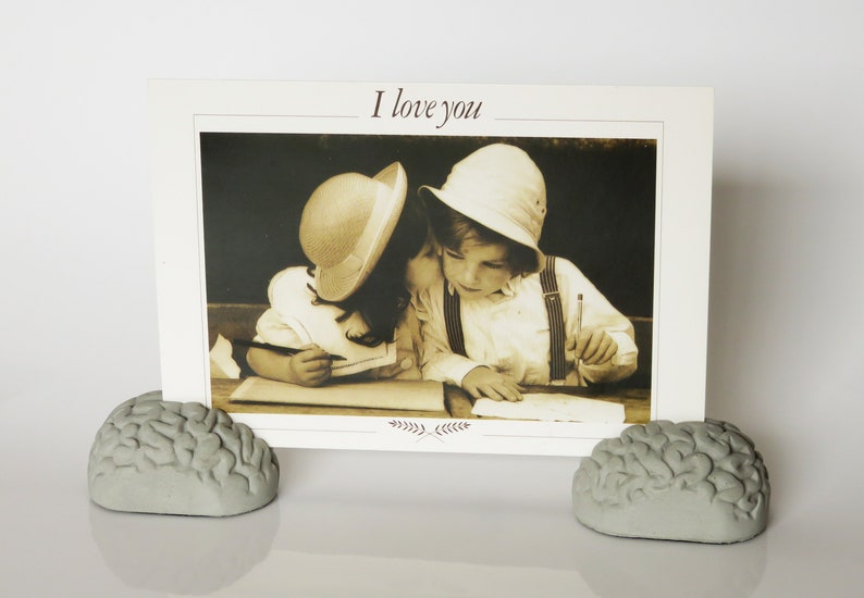 concrete brain card holders, brain, gray matter, postcard, business card, desk accessories photo holder, think concrete office image 6